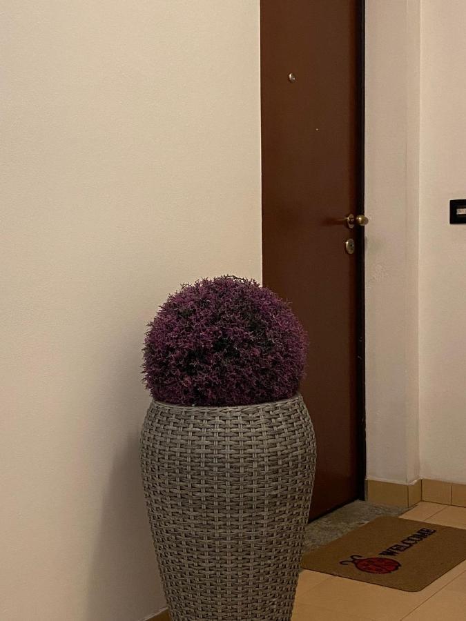 Malpensa Casa Gallery 베르기아테 외부 사진